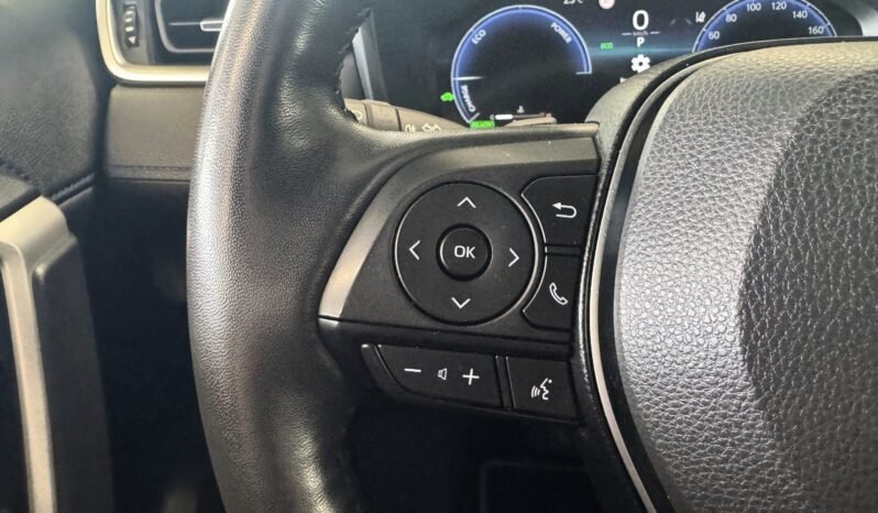 
								Toyota RAV4 Hybrid AWD-i Style full									