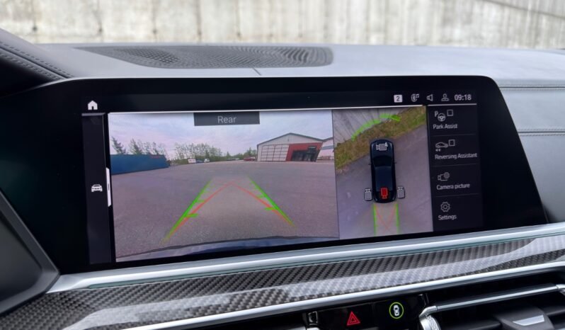 
								BMW X6 xDrive30d M-Styling full									